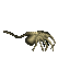Facehugger