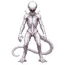 Neomorph